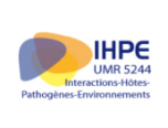 IHPE